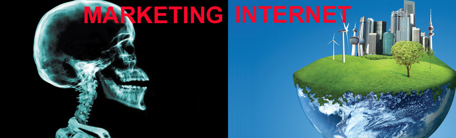 Diseño Gráfico, Diseño Web y Marketing 4